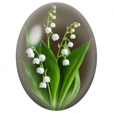 Cabochon en Verre Illustré Brins de Muguet sur Fond Brun 13x18, 18x25 ou 30x40mm - Pour la Création de Bijoux Fantaisie - DIY