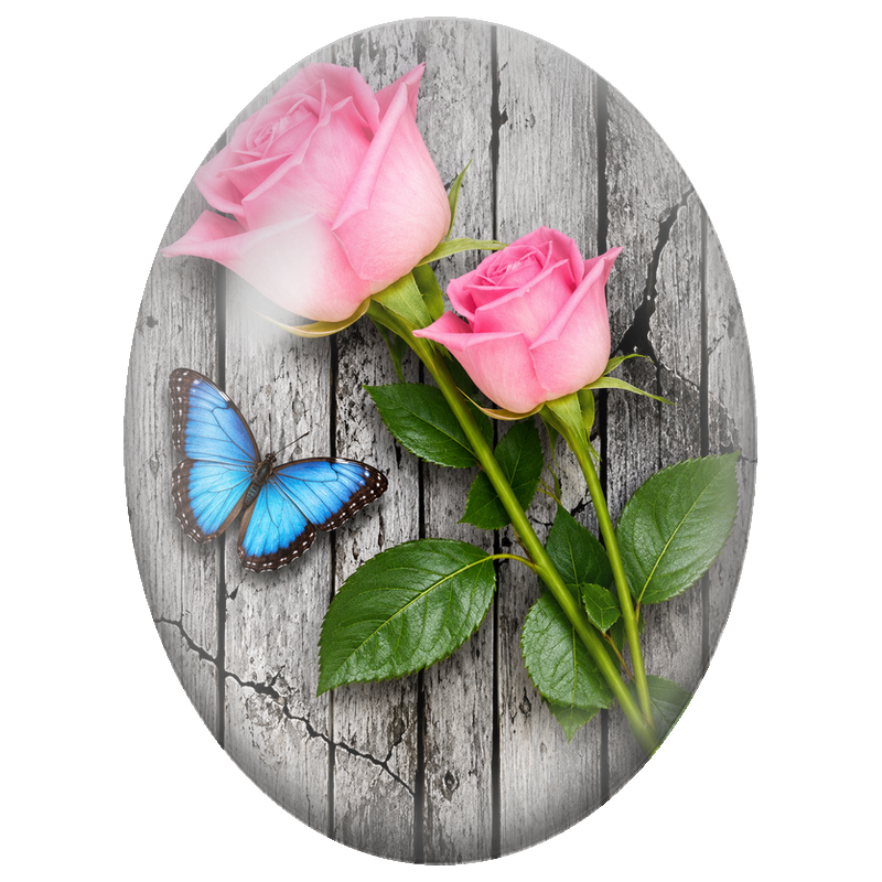 Cabochon en Verre Illustré Roses Roses et Papillon Bleu sur Bois Gris 13x18, 18x25 ou 30x40mm