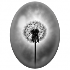 Cabochon en Verre Illustré Pissenlit en Silhouette Noir et Blanc 13x18, 18x25 ou 30x40mm - Pour la Création de Bijoux Fantaisie