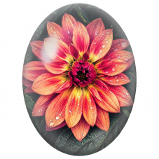 Cabochon en Verre Illustré Dahlia Corail couvert de Rosée 13x18, 18x25 ou 30x40mm - Pour la Création de Bijoux Fantaisie - DIY
