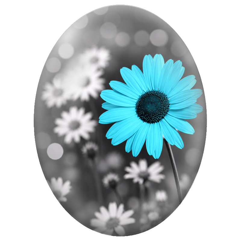 Cabochon en Verre Illustré Fleur Turquoise sur Jardin Noir et Blanc 13x18, 18x25 ou 30x40mm