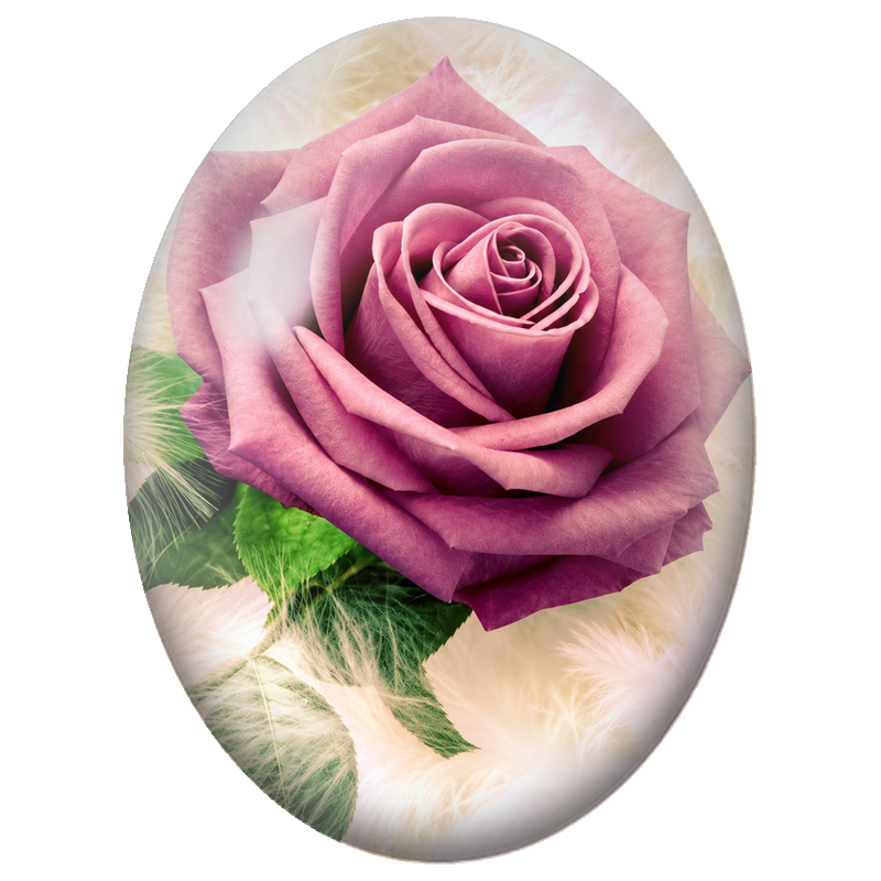 Cabochon en Verre Illustré Rose Vieux Rose en Gros Plan 13x18, 18x25 ou 30x40mm