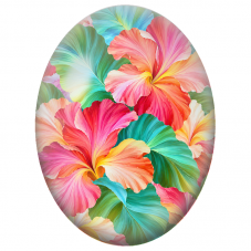 Cabochon en Verre Illustré Hibiscus Multicolores aux Pétales Peints 13x18, 18x25 ou 30x40mm - Pour la Création de Bijoux