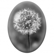 Cabochon en Verre Illustré Pissenlit en Noir et Blanc 13x18, 18x25 ou 30x40mm - Pour la Création de Bijoux Fantaisie - DIY