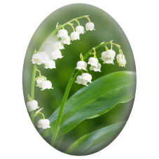 Cabochon en Verre Illustré Muguet Blanc sur Fond Vert 13x18, 18x25 ou 30x40mm - Pour la Création de Bijoux Fantaisie - DIY
