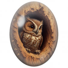 Cabochon en Verre Illustré Petite Chouette dans un Arbre Creux 13x18, 18x25 ou 30x40mm - Pour la Création de Bijoux Fantaisie