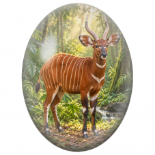 Cabochon en Verre Illustré Bongo dans la Forêt Tropicale 13x18, 18x25 ou 30x40mm - Pour la Création de Bijoux Fantaisie - DIY