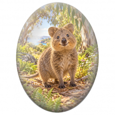 Cabochon en Verre Illustré Quokka Souriant dans la Nature Australienne 13x18, 18x25 ou 30x40mm - Pour la Création de Bijoux