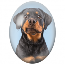 Cabochon en Verre Illustré Chiot Rottweiler sur Fond Bleu 13x18, 18x25 ou 30x40mm - Pour la Création de Bijoux Fantaisie - DIY