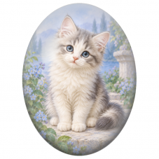 Cabochon en Verre Illustré Chaton Gris et Blanc aux Yeux Bleus 13x18, 18x25 ou 30x40mm - Pour la Création de Bijoux Fantaisie