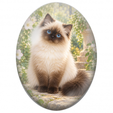 Cabochon en Verre Illustré Chat Sacré de Birmanie aux Yeux Bleus 13x18, 18x25 ou 30x40mm - Pour la Création de Bijoux Fantaisie