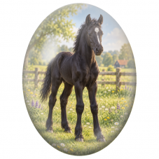 Cabochon en Verre Illustré Poulain Noir dans une Prairie de Campagne 13x18, 18x25 ou 30x40mm - Pour la Création de Bijoux