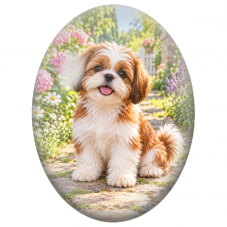 Cabochon en Verre Illustré Chiot Shih Tzu Roux et Blanc au Jardin 13x18, 18x25 ou 30x40mm - Pour la Création de Bijoux Fantaisie