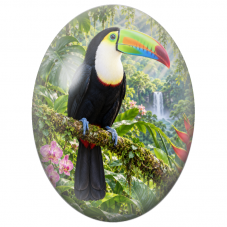 Cabochon en Verre Illustré Toucan au Bec Arc-en-Ciel dans la Jungle 13x18, 18x25 ou 30x40mm - Pour la Création de Bijoux