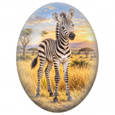 Cabochon en Verre Illustré Zébreau dans la Savane au Soleil Couchant 13x18, 18x25 ou 30x40mm - Pour la Création de Bijoux