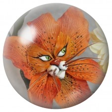 Cabochon en Verre Illustré Fleur Chat Orange d’Alice 12 à 25mm pour la Création de Bijoux Fantaisie - DIY