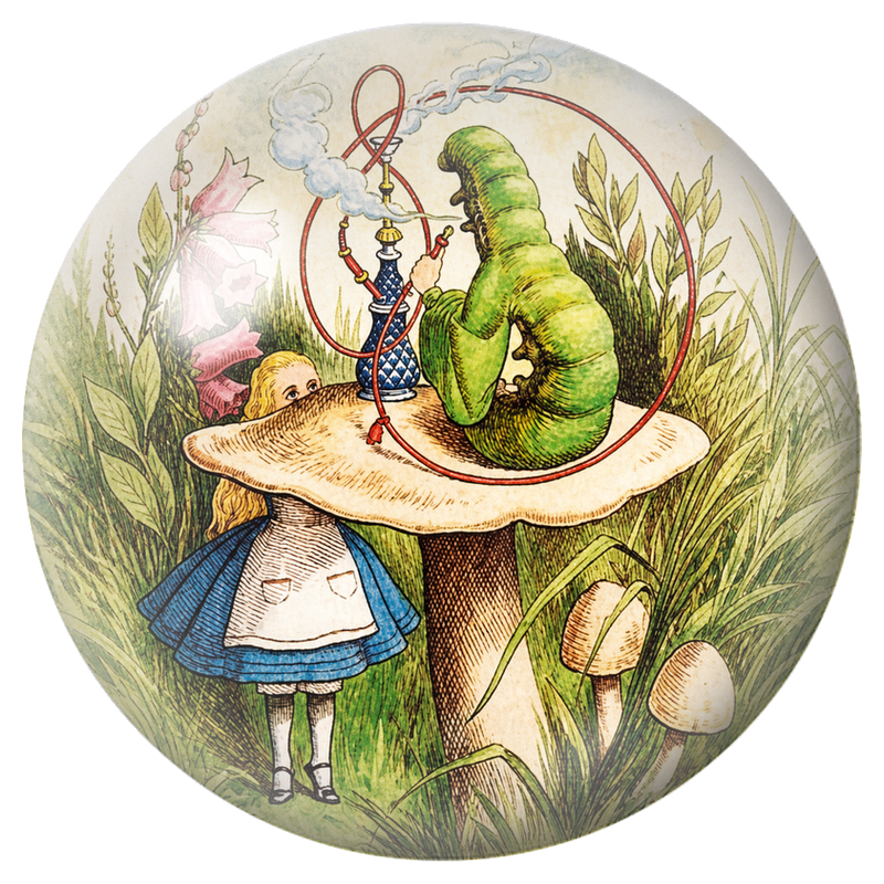 Cabochon en Verre Illustré Alice et la Chenille sur le Champignon 12 à 25mm