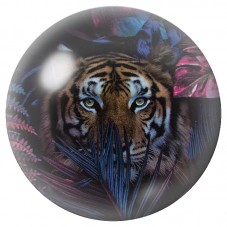 Cabochon en Verre Illustré Tigre aux Yeux Bleus et Plumes 12 à 25mm pour la Création de Bijoux Fantaisie - DIY
