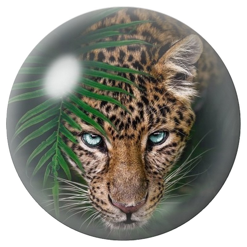 Cabochon en Verre Illustré Léopard aux Yeux Bleus dans la Jungle 12 à 25mm