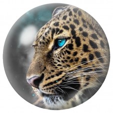 Cabochon en Verre Illustré Léopard de Profil à l’Œil Bleu 12 à 25mm pour la Création de Bijoux Fantaisie - DIY