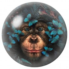 Cabochon en Verre Illustré Chimpanzé aux Papillons Bleus 12 à 25mm pour la Création de Bijoux Fantaisie - DIY