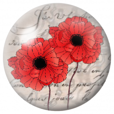 Cabochon en Verre Illustré Coquelicots sur Écriture Ancienne 12 à 25mm pour la Création de Bijoux Fantaisie - DIY