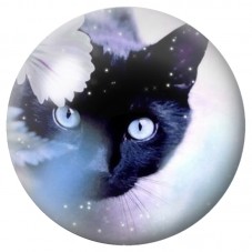 Cabochon en Verre Illustré Chat Noir aux Yeux Bleus 12 à 25mm pour la Création de Bijoux Fantaisie - DIY