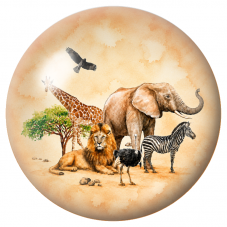 Cabochon en Verre Illustré Animaux de la Savane 12 à 25mm pour la Création de Bijoux Fantaisie - DIY