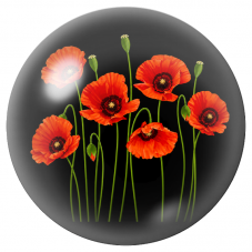 Cabochon en Verre Illustré Coquelicots Orange sur Fond Noir 12 à 25mm pour la Création de Bijoux Fantaisie - DIY