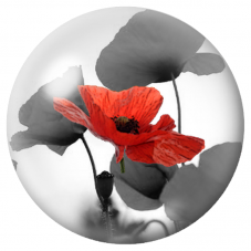 Cabochon en Verre Illustré Coquelicot Rouge aux Ombres Grises 12 à 25mm pour la Création de Bijoux Fantaisie - DIY