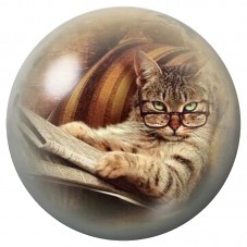 Cabochon en Verre Illustré Chat Lecteur aux Petites Lunettes 12 à 25mm pour la Création de Bijoux Fantaisie - DIY
