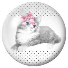 Cabochon en Verre Illustré Chat 12 à 25mm pour la Création de Bijoux Fantaisie - DIY