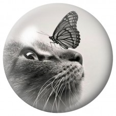 Cabochon en Verre Illustré Chat au Papillon sur le Nez 12 à 25mm pour la Création de Bijoux Fantaisie - DIY