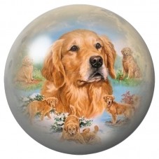 Cabochon en Verre Illustré Famille Golden Retriever 12 à 25mm pour la Création de Bijoux Fantaisie - DIY