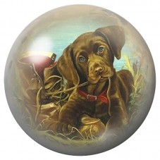Cabochon en Verre Illustré Chiot Brun dans la Nature 12 à 25mm pour la Création de Bijoux Fantaisie - DIY