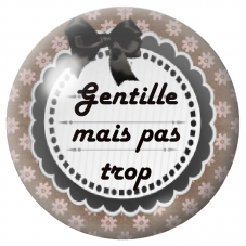 Cabochon en Verre Illustré Gentille Mais Pas Trop 12 à 25mm pour la Création de Bijoux Fantaisie - DIY