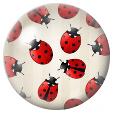 Cabochon en Verre Illustré Coccinelles Enfant 12 à 25mm pour la Création de Bijoux Fantaisie - DIY