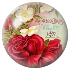 Cabochon en Verre Illustré Roses Rouges sur Étiquette Florale 12 à 25mm pour la Création de Bijoux Fantaisie - DIY