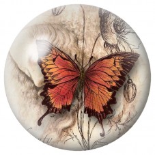 Cabochon en Verre Illustré Papillon Orange Vintage 12 à 25mm pour la Création de Bijoux Fantaisie - DIY