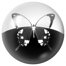 Cabochon en Verre Illustré Papillon Noir et Blanc 12 à 25mm pour la Création de Bijoux Fantaisie - DIY