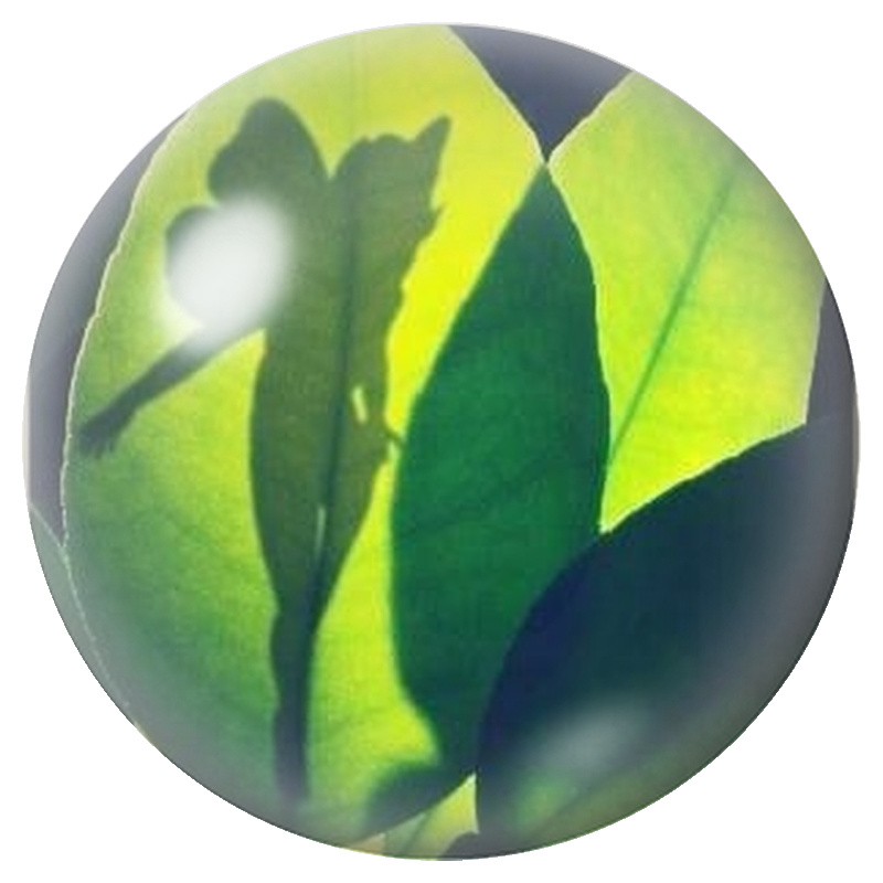 Cabochon en Verre Illustré Fée Cachée dans les Feuilles 12 à 25mm