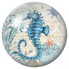 Cabochon en Verre Illustré Hippocampe Bleu Vintage 12 à 25mm pour la Création de Bijoux Fantaisie - DIY