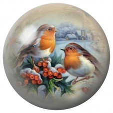 Cabochon en Verre Illustré Deux Rouges-Gorges aux Baies d’Hiver 12 à 25mm pour la Création de Bijoux Fantaisie - DIY