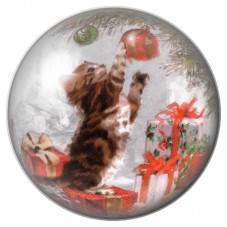 Cabochon en Verre Illustré Chat Tigré parmi les Cadeaux 12 à 25mm pour la Création de Bijoux Fantaisie - DIY