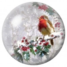 Cabochon en Verre Illustré Rouge-Gorge sur Branche Enneigée 12 à 25mm pour la Création de Bijoux Fantaisie - DIY