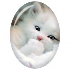 Cabochon en Verre Illustré Chaton Blanc à la Patte Levée 13x18, 18x25 ou 30x40mm pour la Création de Bijoux Fantaisie - DIY