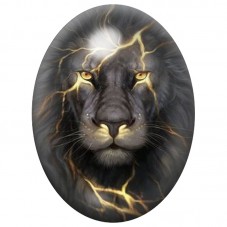 Cabochon en Verre Illustré Lion sous l’Éclair 13x18, 18x25 ou 30x40mm pour la Création de Bijoux Fantaisie - DIY