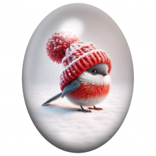 Cabochon en Verre Illustré Oiseau Rouge au Bonnet Tricoté 13x18, 18x25 ou 30x40mm pour la Création de Bijoux Fantaisie - DIY