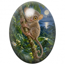 Cabochon en Verre Illustré Tarsier sous la Pleine Lune 13x18, 18x25 ou 30x40mm pour la Création de Bijoux Fantaisie - DIY