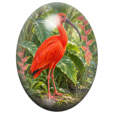 Cabochon en Verre Illustré Ibis Rouge dans la Forêt Tropicale 13x18, 18x25 ou 30x40mm pour la Création de Bijoux Fantaisie - DIY